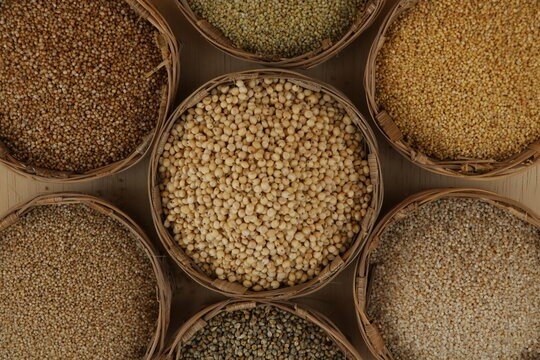 Nutrient-Dense Millets